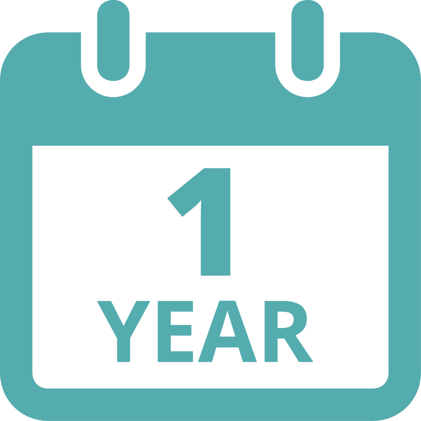 1-Year Plan