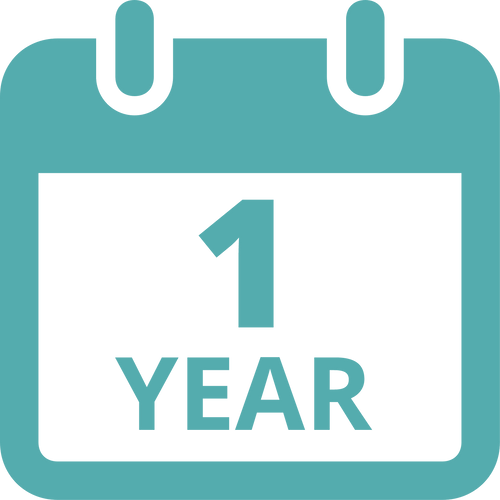 1-Year Plan